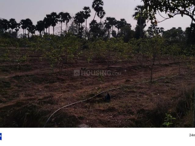 Residential Plot in Yellamanchili for resale Visakhapatnam. The reference number is 20267991