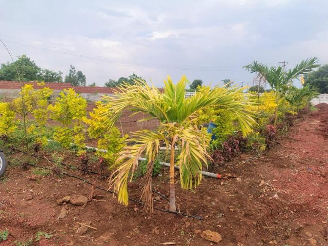 Residential Plot in Zaheerabad for resale Sangareddy. The reference number is 21218734