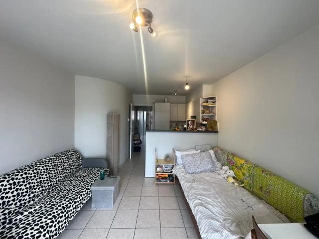 RESIDENTIE DISTELVINK