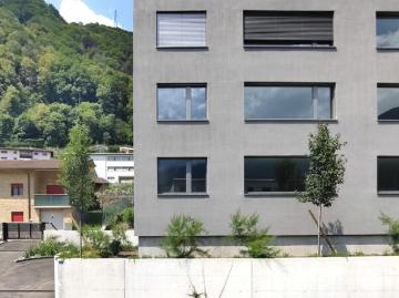 Lusanico, Kreis Bellinzona, Bezirk Bellinzona, Tessin