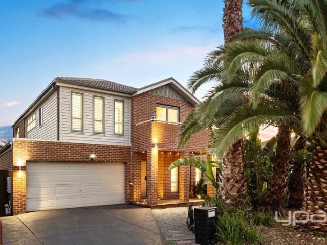 Resort Style Family Luxury in Alamanda School Zone Fully Renovated Entertainer on 585m²