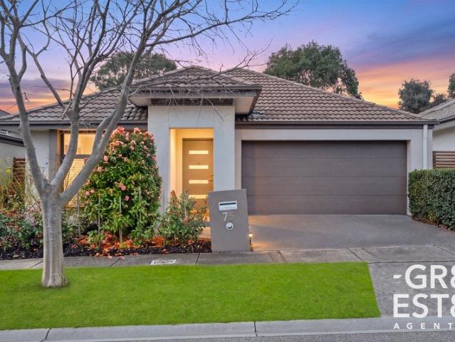 Resort Style Living in Prestigious Affinity Estate