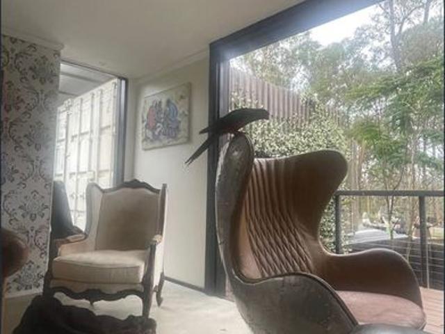 Resort style living with all the peace and quiet of the bush, only 15 minutes from Kenmore