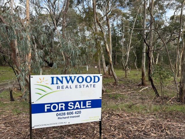 Return to Nature. 8.19 ha, private, pretty, original vegetation. bordering the Mount Crawford Forest