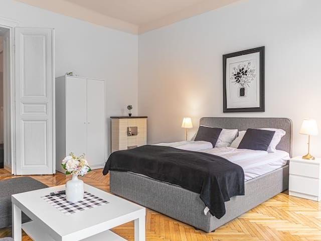 Retro Charm Budget 1BR Apartment near AKH Hospital, Vienna Amsterdam Apartments for Rent