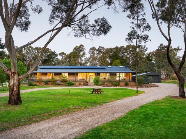 Retro Homestead with Stables, Studio and Three Dams