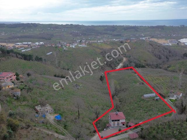 Revizyon'dan Çatalpınar'da Müstakil Ev 300m2 _arsası 21.000m2