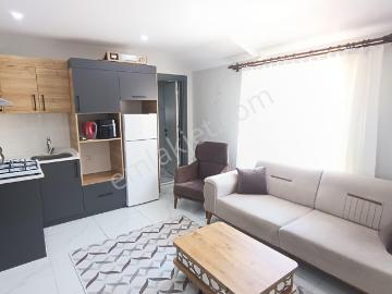 Revizyon'dan Çınar Yakını 1+1 Apart Daire