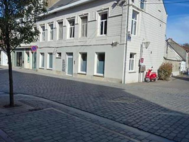 Rez de chaussée avec jardin