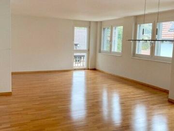 Rhine view – quiet – central