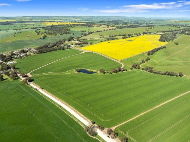 Rhynbrook Park 5033 Horrocks Highway, Rhynie 463.98ha 1146 acres