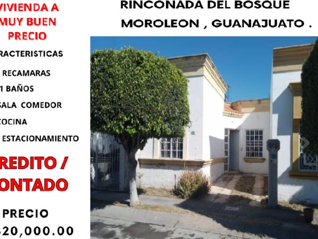 RINCONADA DEL BOSQUE, MOROLEON, GUANAJUATO