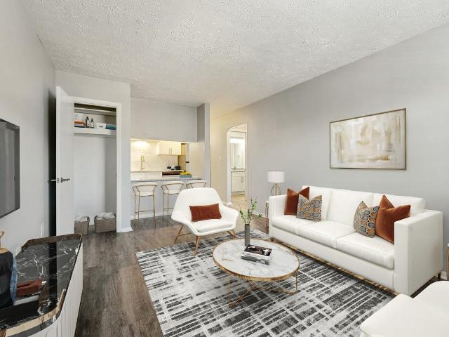 Rio at Lenox 2 Bedroom Apartment for Rent at 2716 Buford Highway Northeast, North Atlanta, GA 30324 Pine Hills