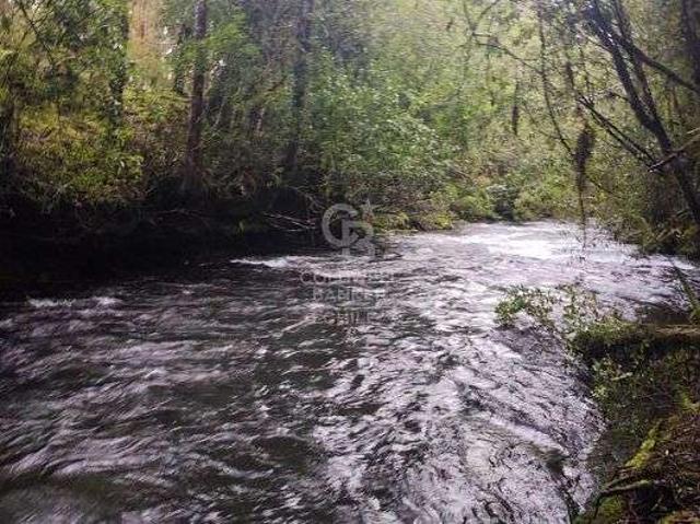 Rio Blanco Orilla de Rio Con Cabana