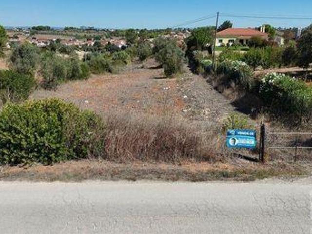 Rio Maior Santarem 105491934