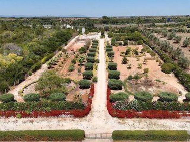 Rio Maior Santarem 105556947