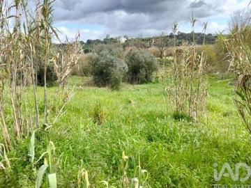 Rio Maior Santarem 99889490