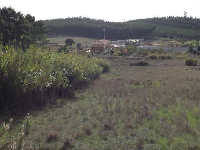 Rio Maior Rio Maior 105594838