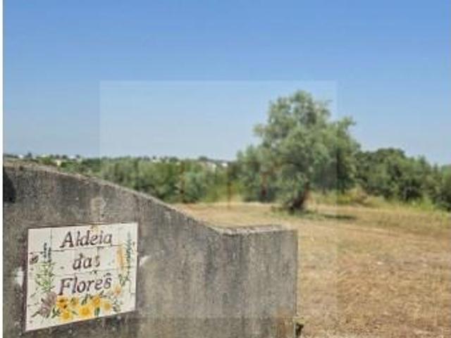 Rio Maior Rio Maior 98966503