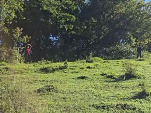 RIACHO DAS ARAUCÁRIAS – DELFIM MOREIRA/MG