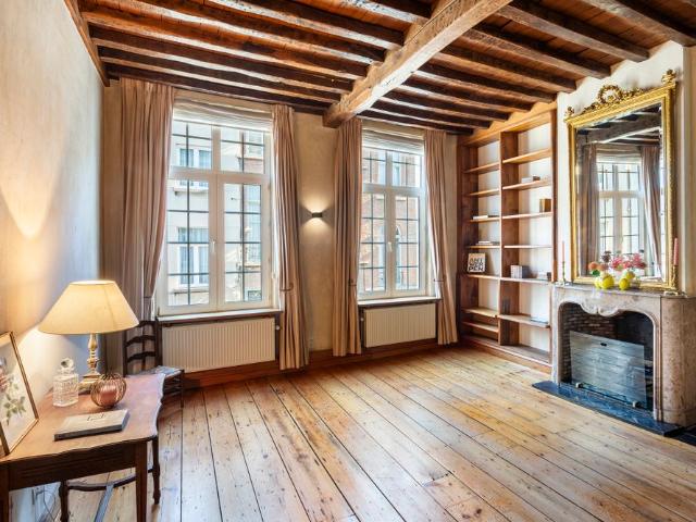 riante duplex in statige herenwoning, hartje Antwerpen