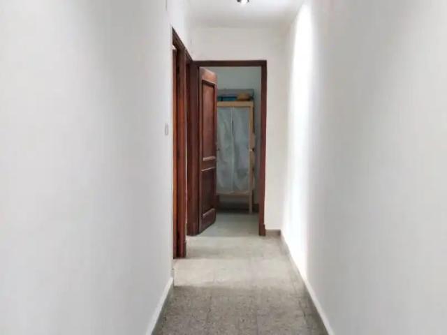 Ribadavia