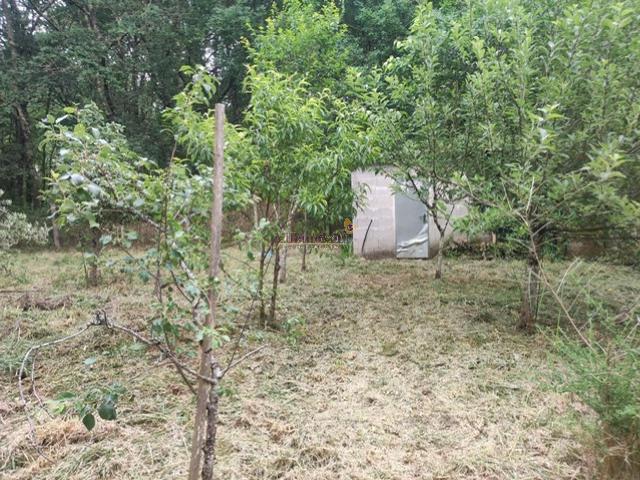 RIBADETEA, TERRENO CERRADO CON GALPON Y AGUA Y LUZ