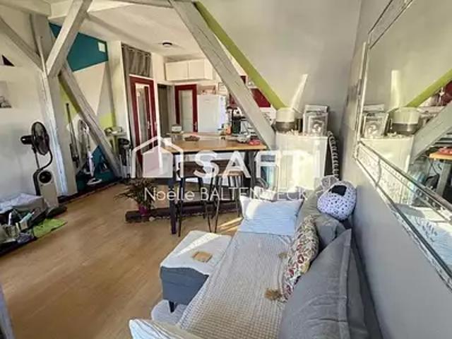 Ribeauvillé 68150 Achat / Vente appartement 1 pièce t1