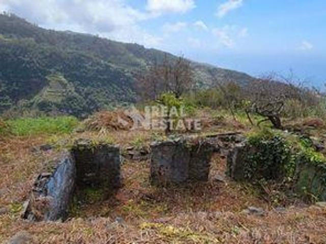Ribeira Brava Ilha da Madeira 101277451