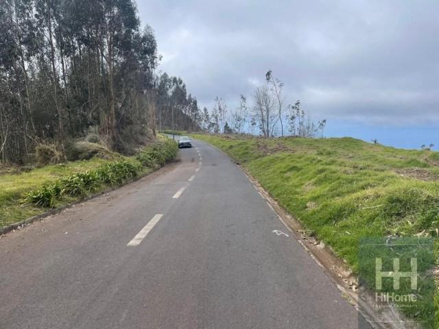 Ribeira Brava Ribeira Brava 9350 050 87047279