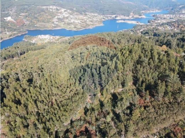 Ribeira de Pena Ribeira de Pena 102926119