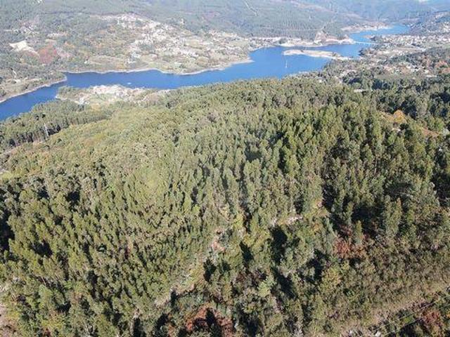 Ribeira De Pena Vila Real 100020390