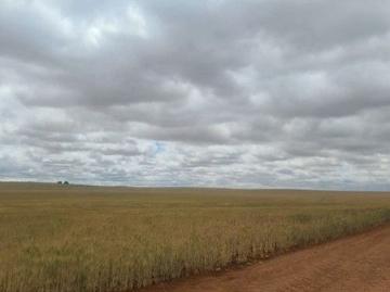 Wunkar, Loxton Waikerie, South Australia