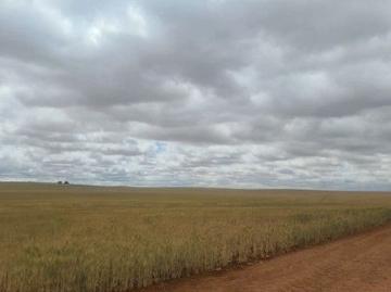Wunkar, Loxton Waikerie, South Australia