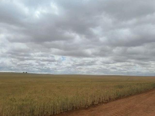 Rich Soil, Endless Potential Farm for Sale