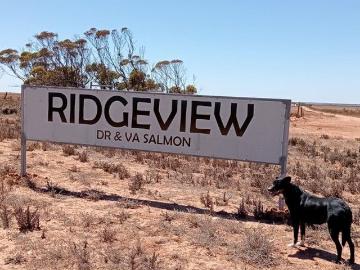 Wandana, Ceduna, Ceduna County, South Australia