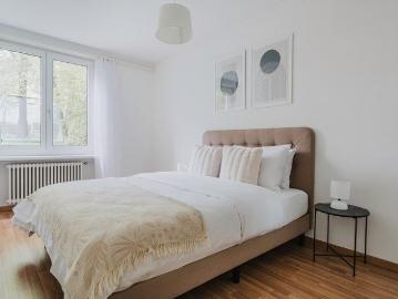 Apartment for rent in Rieterplatz