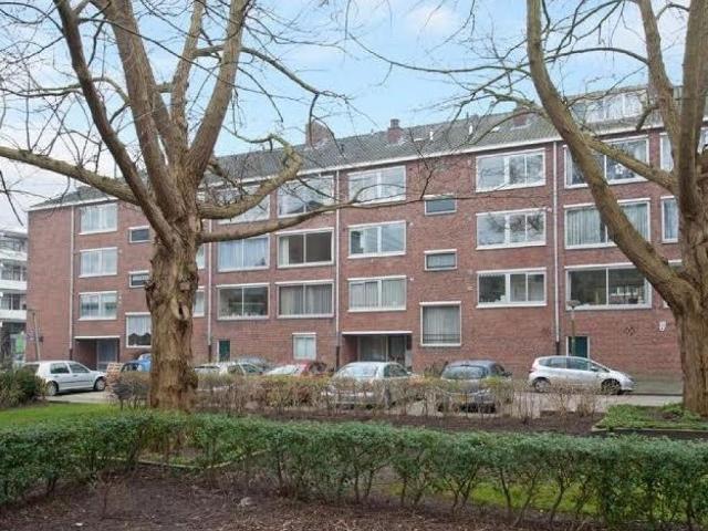 Rietnesse, Amsterdam