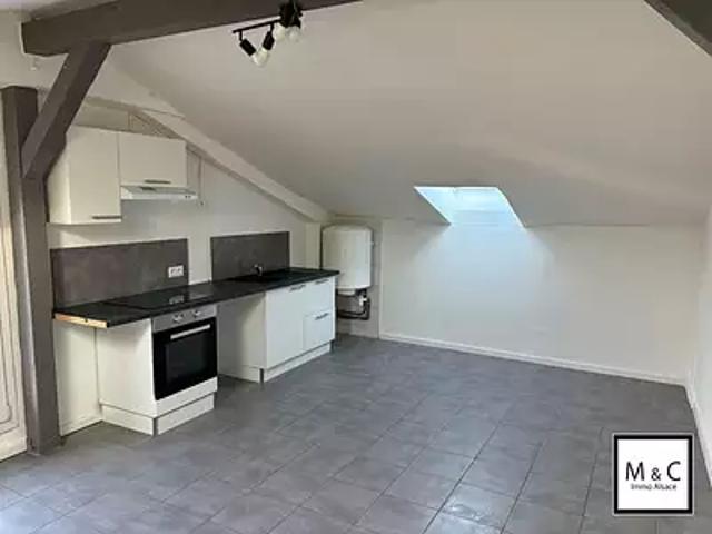 Riedseltz 67160 Location appartement 2 pièces t2 au dernier étage cave