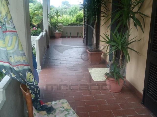 Rif. 15436 Indipendente, Casa Affitto a Massa, Marina Massa Levante