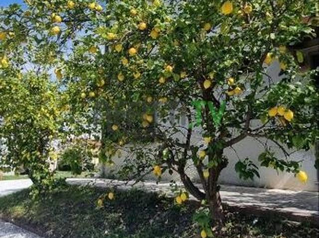 Rif. 23308 Semindipendente, Porzione di casa Affitto a Ameglia