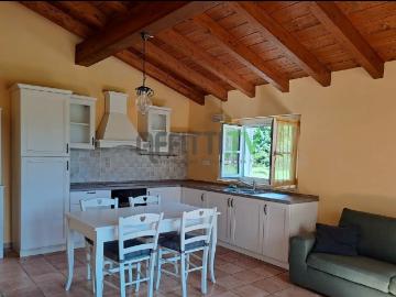 Rif. 23337 Indipendente, Casa Affitto a Massa, Marina Massa Centro