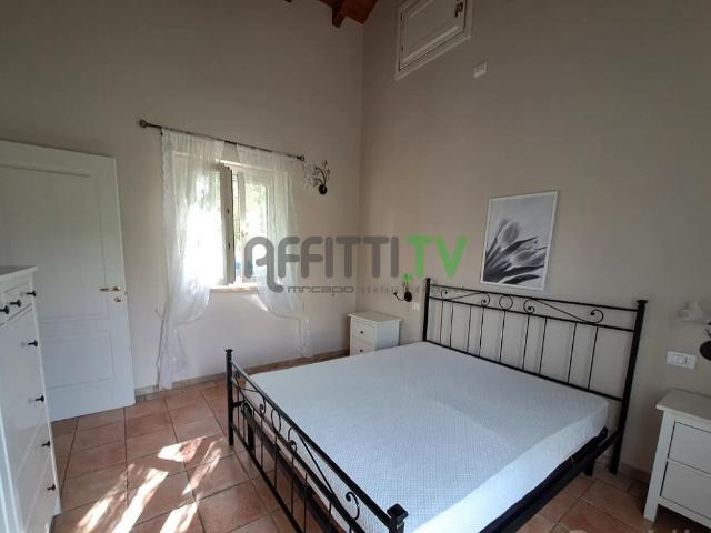 Rif. 23337 Indipendente, Casa Affitto a Massa, Marina Massa Centro