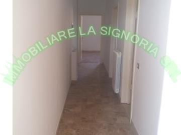 Riferimento: 1/0203 LOCAZIONE