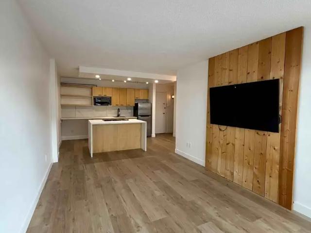 right & Spacious 1 Bedroom Condo Across from Central Memorial Park – Park 300