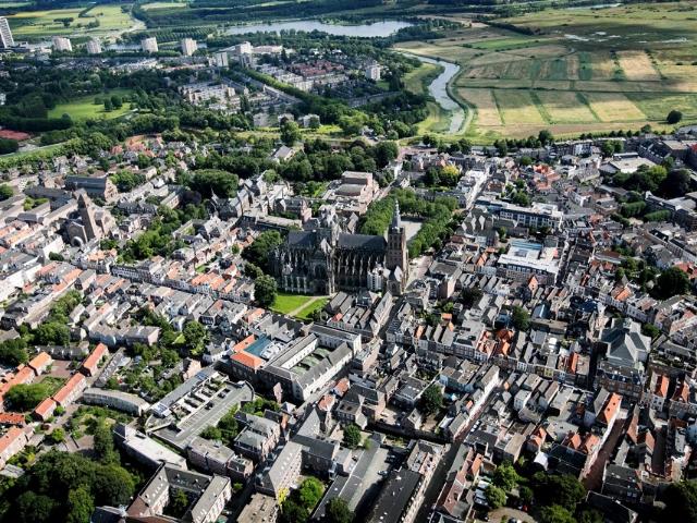 Rijzertlaan 20