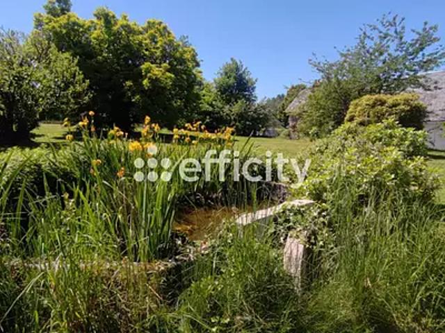 Rilhac Treignac 19260 Achat / Vente maison 8 pièces t8 jardin cave