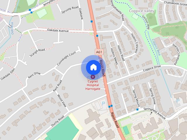 Ripon Road, HG1 2JL