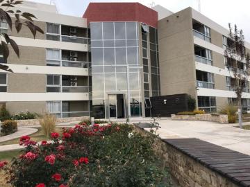 Rivadavia, Dpto. 1 Dorm Y Amenities