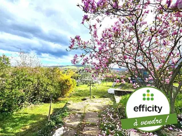 Rive de Gier 42800 Achat / Vente maison 5 pièces t5 piscine terrasse